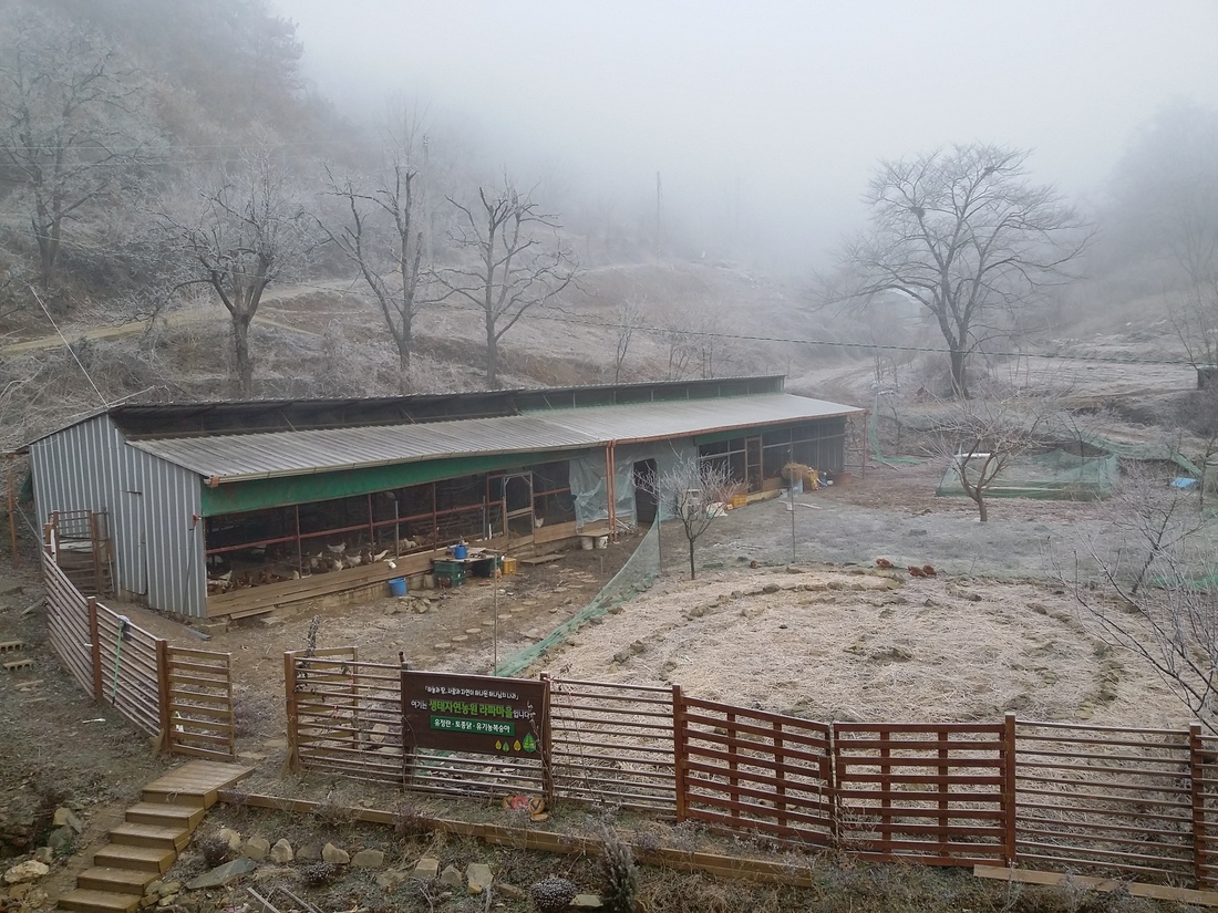 농장의 겨울 모습